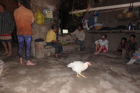 Inside the Family Home