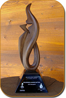 BBB 2012 EICS Award Winner