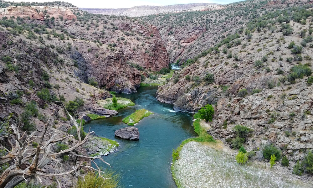 the gunnison river winds through a narrow canyon