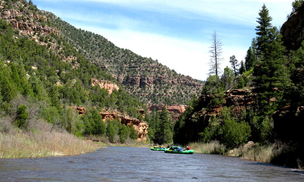 A boat floating through dolores river canyon