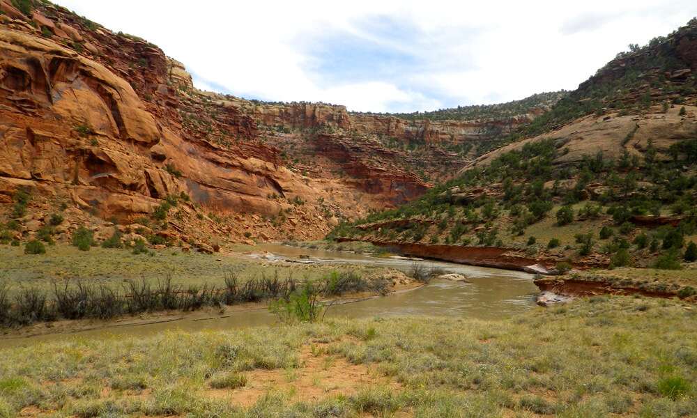 Water winding through the Dolores river Canyon